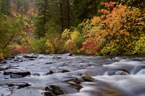 istock Fall/Autumn Colors on the Riverside 861205186