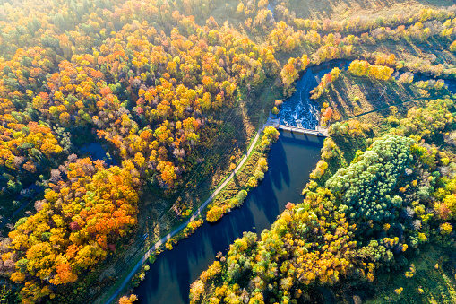 Scenic view on the meandering river near rural road among a trees in bright yellow foliage. Aerial view on nature landscape at a sunny autumn day