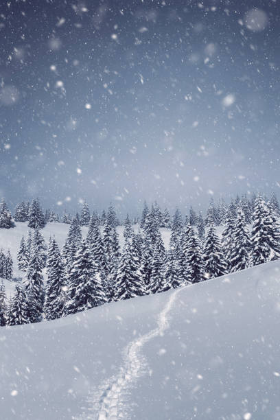 istock Winter trail in morning snow 861220680