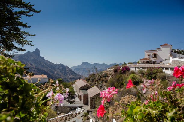 istock Gran canaria, mountain village Tejeda 861220696