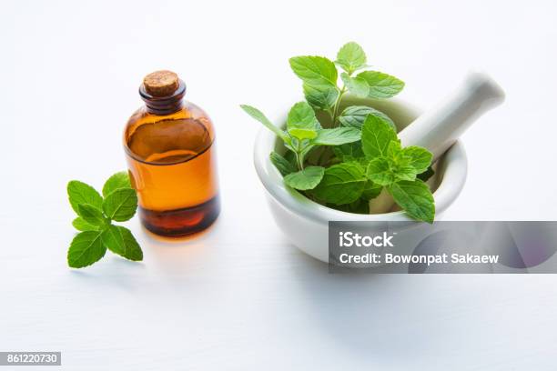 Natural Mint Essential Oil In A Glass Bottle With Fresh Mint Leaves In White Porcelain Mortar Stock Photo - Download Image Now