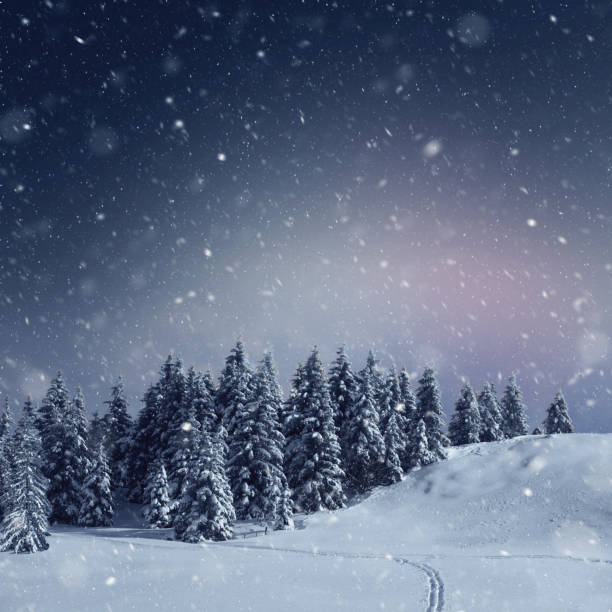 istock Snow blizzard in the morning 861220856