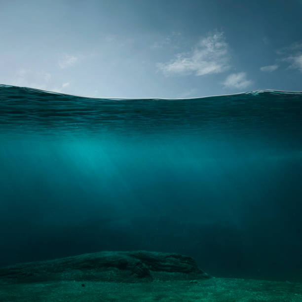 empty underwater background - bottom sea imagens e fotografias de stock