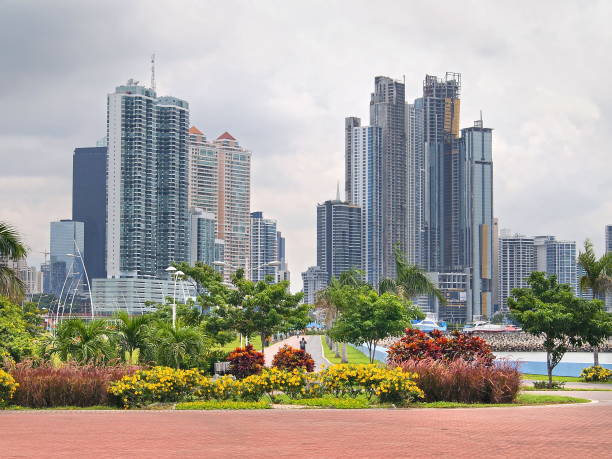 istock Panama City skyscraper and flowers 861229682