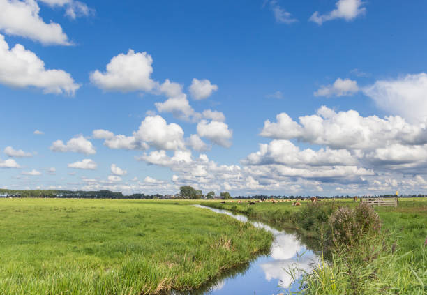 istock Little river through a dutch landscape with cows in Holland 861233302