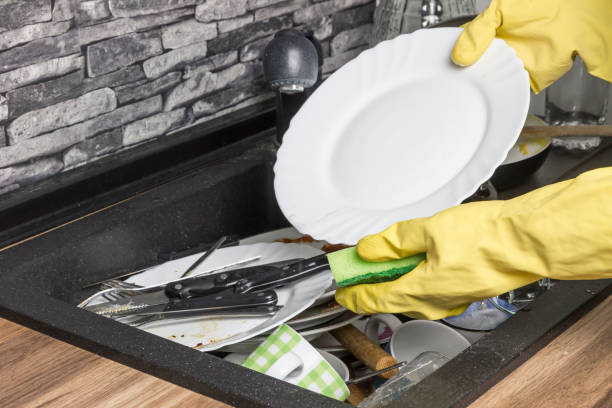 istock Housewife is showing the washed plate 861234252
