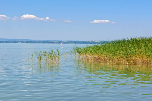 istock Lake Balaton - Szabadisosto 861241106