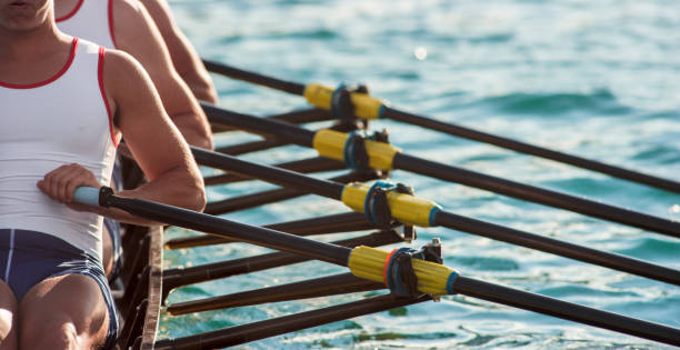 três atletas masculinos remo lago no fim da tarde - oar rowing sport rowing team - fotografias e filmes do acervo