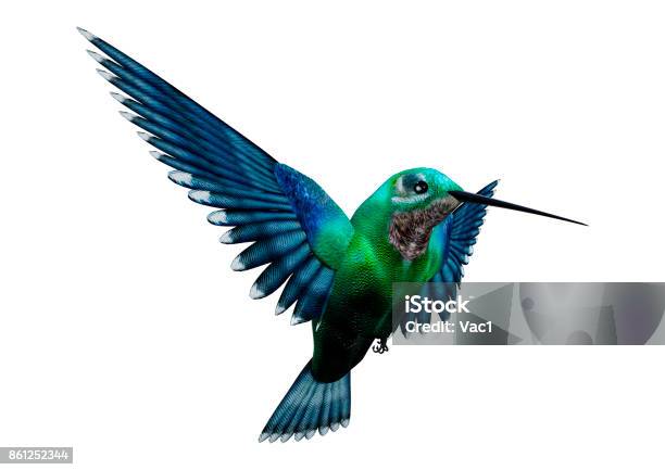 3d Rendering Humming Bird On White Stock Photo - Download Image Now - Hummingbird, Bird, Cut Out