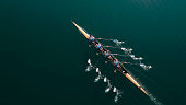 Four male athletes sculling on lake in sunshine