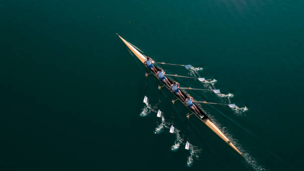 Four male athletes sculling on lake in sunshine Four male rowers sculling on lake in sunshine. aerial view stock pictures, royalty-free photos & images