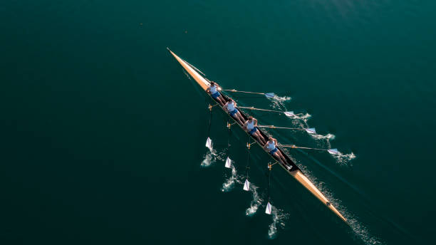 four male athletes sculling on lake in sunshine - team imagens e fotografias de stock