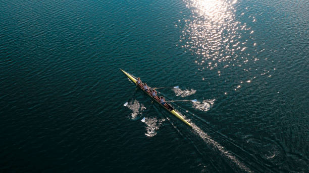 quatro atletas masculinos lemada lago na luz do sol - remo simples - fotografias e filmes do acervo