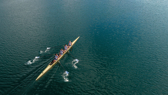 Four male rowers sculling on lake in sunshine.