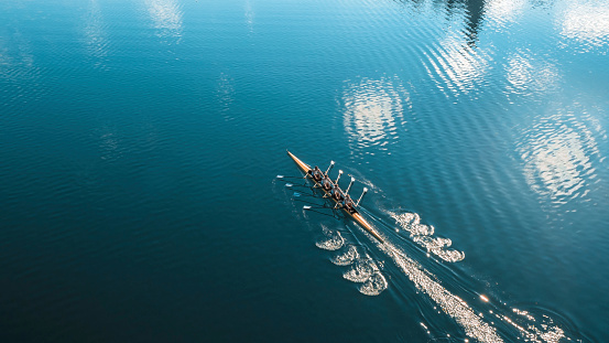 Four male athletes sculling on lake in sunshine