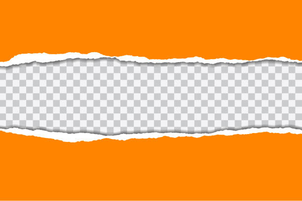 ilustraciones, imágenes clip art, dibujos animados e iconos de stock de ilustración vectorial de papel rasgada naranja con fondo transparente, aislado sobre fondo blanco conveniente para inserción de texto - torn paper