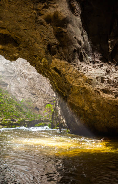 istock Natural tunnel in Rakov Skocjan Valley 861263570
