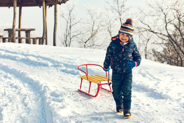 Little boy having fun with sledge on winter day in the forest. Looking at camera.