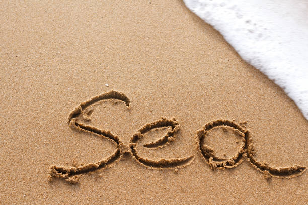 istock Sea word handwritten on the sand with soft wave 861271532