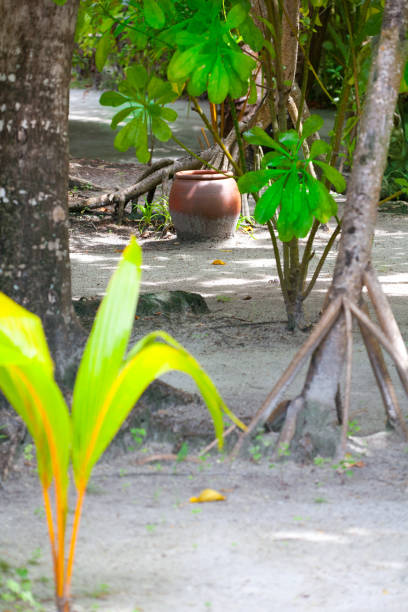 istock Vase in garden 861275086