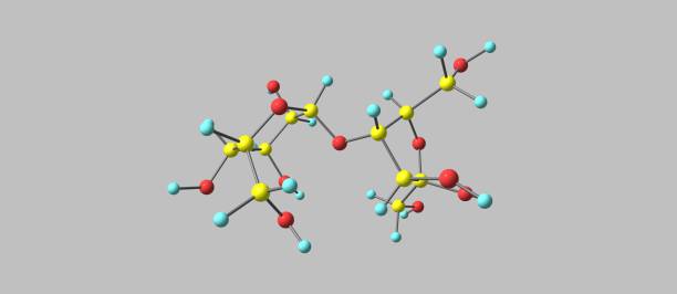 Lactulose molecular structure isolated on grey Lactulose is a non-absorbable sugar used in the treatment of constipation and hepatic encephalopathy. 3d illustration oligosaccharide stock pictures, royalty-free photos & images