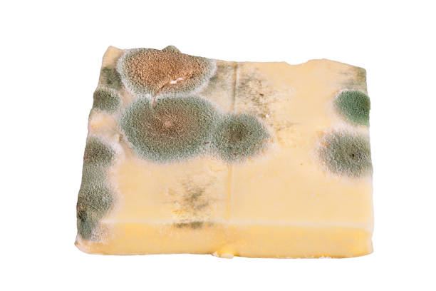 istock Slice of moldy cheese 861283466