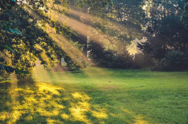 istock Morning urban landscape. 861292742