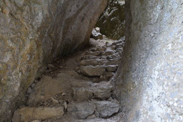 istock nature of Crimea 861299212