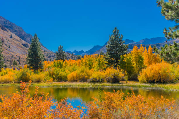 istock Bishop Creek small pond in Autumn, Sierra Nevada Range, CA. (P) 861310224