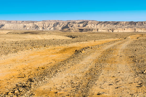 istock Negev Desert in Israel 861310472