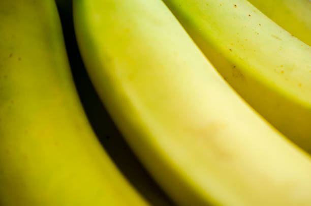 Yellow bananas on black background