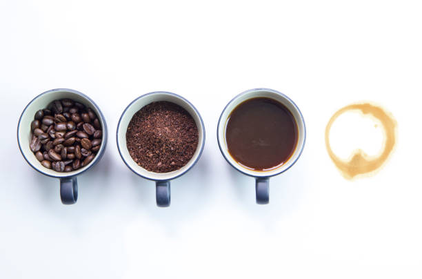 istock Four stages of coffee isolated on white background 861314786