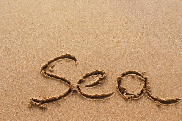 istock Sea word handwritten on the sand 861314856
