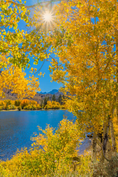 istock Bishop Creek small pond in Autumn, Sierra Nevada Range, CA. (P) 861318670