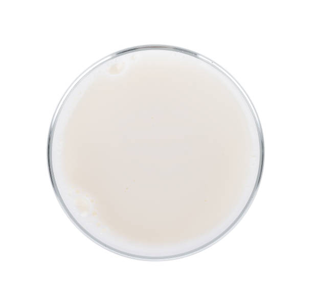 istock Glass of milk isolated on white background.top view 861319002