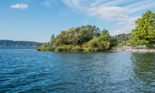 istock Gene Coulon Park Island 2 861325464