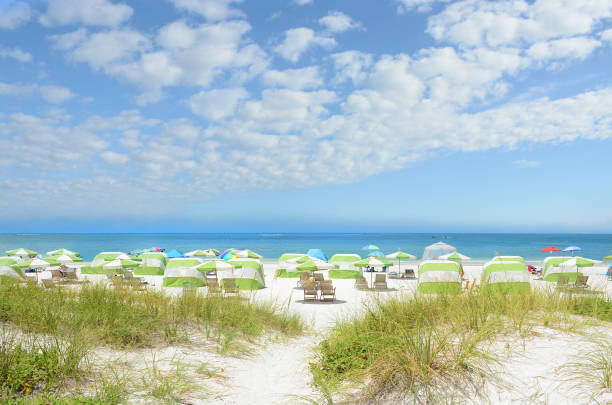 Beautiful white sand beach with cloudy sky. Summer landscape.Sand dunes, blue sky with clouds, and green ocean in the background.  Beach chairs and parasols on beautiful white sand. Gulf of Mexico, Clearwater Beach, Florida, USA. clearwater florida photos stock pictures, royalty-free photos & images