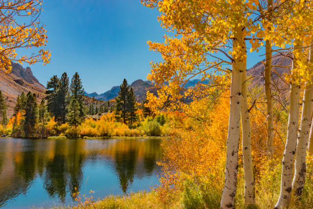 istock Bishop Creek small pond in Autumn, Sierra Nevada Range, CA. (P) 861329108