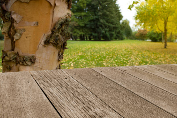 Wooden board empty table in front of blurred background Mock up for display of product