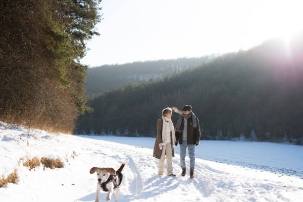 맑은 겨울 날에 산책에 아름 다운 수석 부부 - couple winter senior adult action 뉴스 사진 이미지