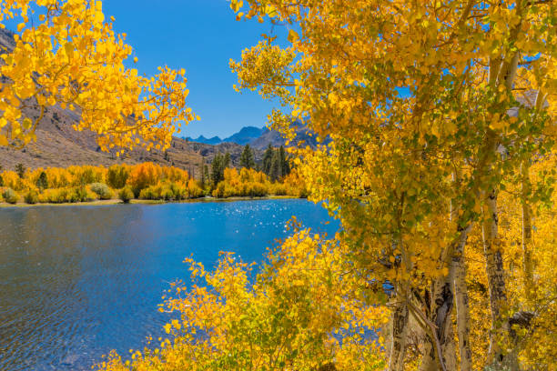 istock Bishop Creek small pond in Autumn, Sierra Nevada Range, CA. (P) 861337240
