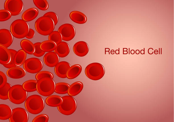 붉은 혈액 세포 고 배경에 문구입니다. - blood cell anemia cell structure red blood cell stock illustrations