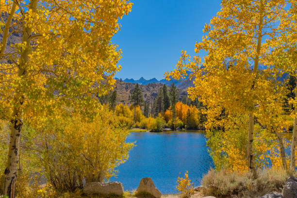istock Bishop Creek small pond in Autumn, Sierra Nevada Range, CA. 861344842
