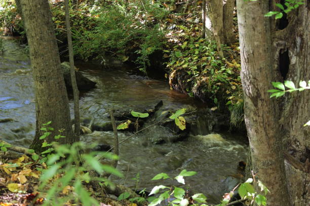 istock close-up of water in stream 861352108