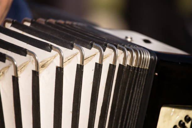 istock musician plays the old accordion 861363558