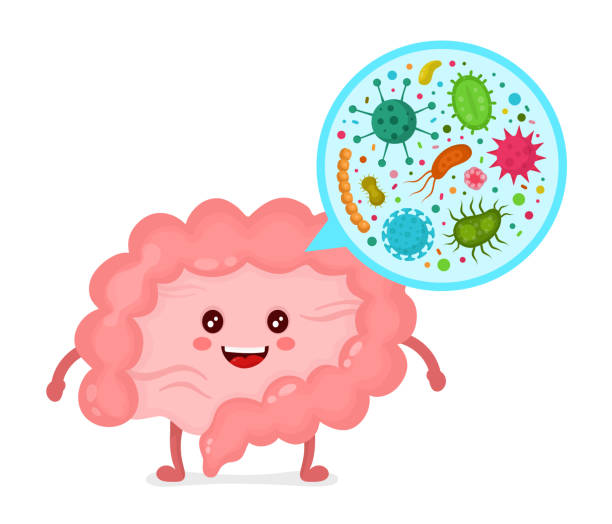 ilustrações de stock, clip art, desenhos animados e ícones de microscopic bacterias. microflora, viruses - microrganismo