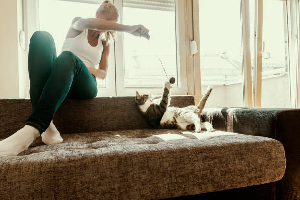 istock Owner playing with cute funny cat at home 861363796