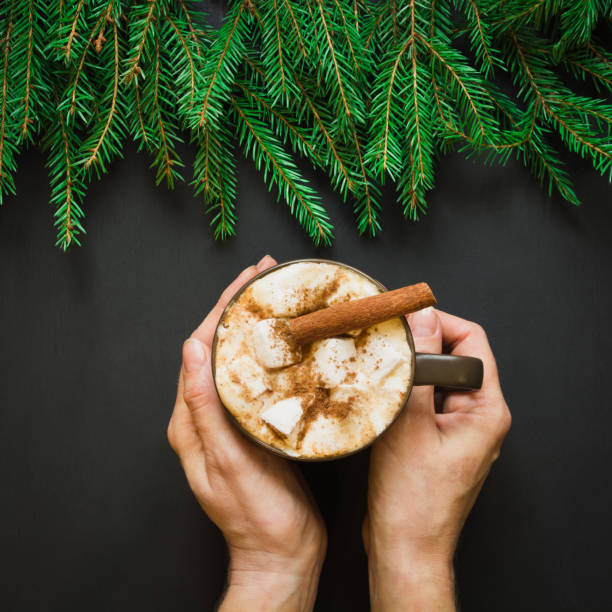 traditionelle weihnachts-drink. heiße schokolade mit marshmallows und zimt auf dem schwarzen hintergrund mit weihnachtsbaum zweig. weihnachtskarte. hautnah. - comfort food high angle view directly above close up stock-fotos und bilder