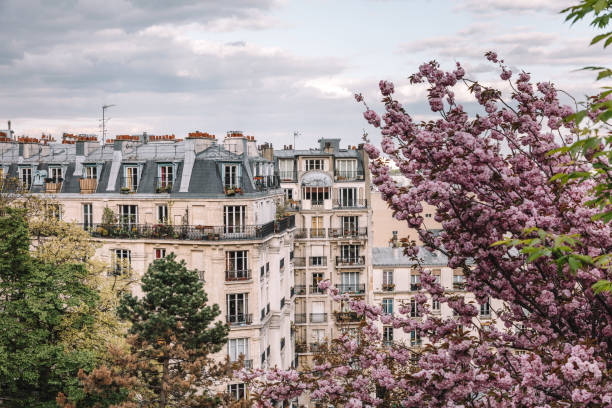 edificio de apartamento parisino en primavera - nobody old architecture urban scene fotografías e imágenes de stock