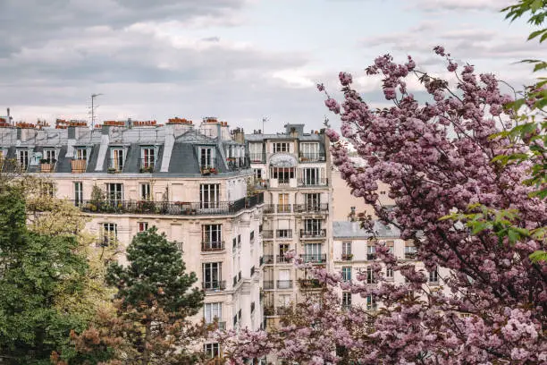 Photo of Parisian apartment building in spring